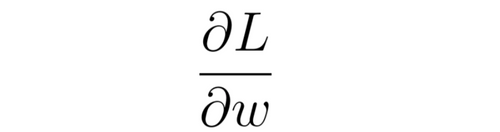 Figure 16: Notation de la dérivée partielle de la fonction objectif par rapport à un poids du réseau