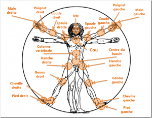 Liste des articulations principales du squelette humain pour la Kinect