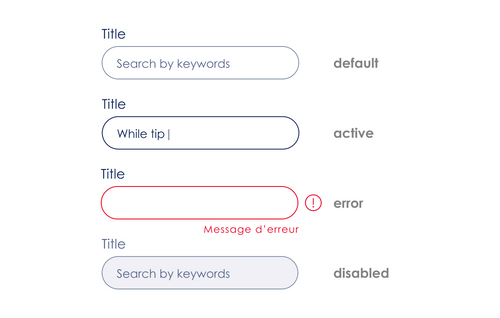 Les états des champs input